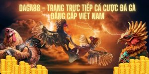 Chất lượng của Daga88 được đánh giá cao trên thị trường